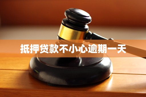 抵押贷款不小心逾期一天