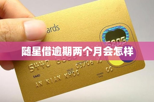 随星借逾期两个月会怎样