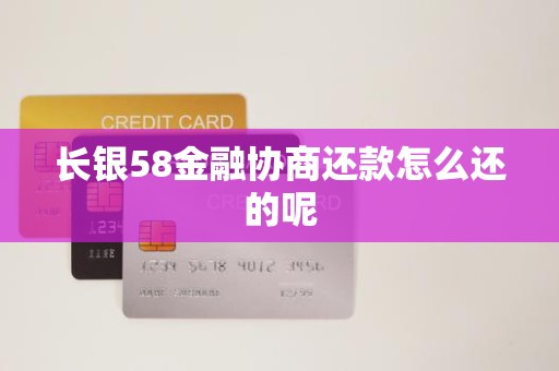 长银58金融协商还款怎么还的呢