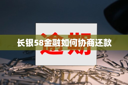 长银58金融如何协商还款