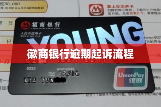 徽商银行逾期起诉流程