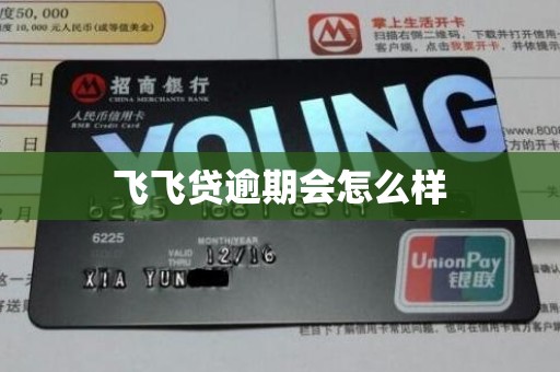 飞飞贷逾期会怎么样