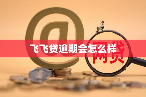 飞飞贷逾期会怎么样