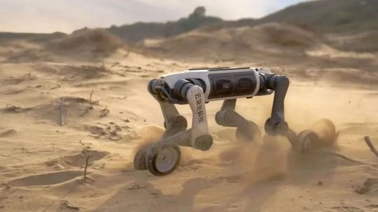 杭州小龙包培训哪个地方最好__杭州小龙食品有限公司